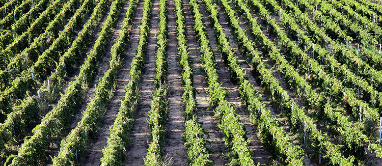 azienda-1 azienda-1